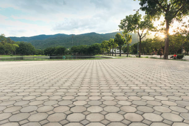 Best Best Driveway Pavers  in Lansdowne, VA